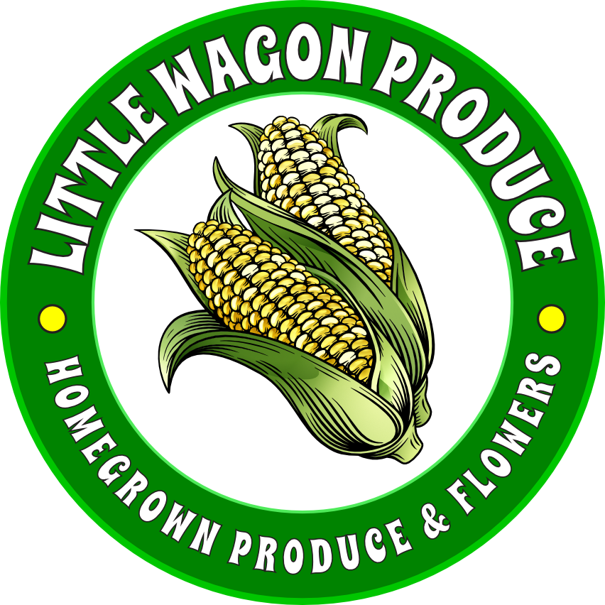 Corn Logo